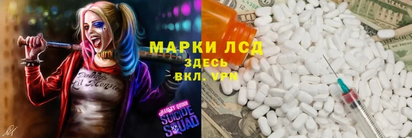 spice Инта