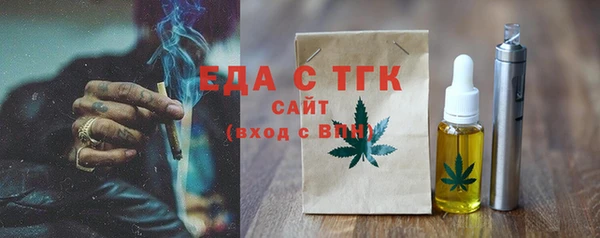 spice Инта