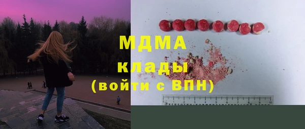 spice Инта