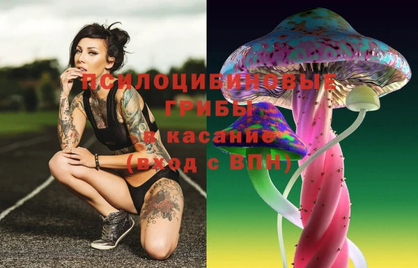 spice Инта