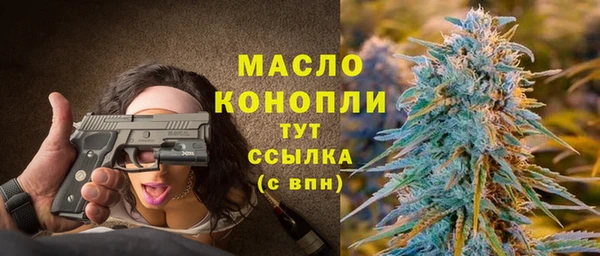 spice Инта
