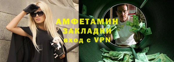 spice Инта