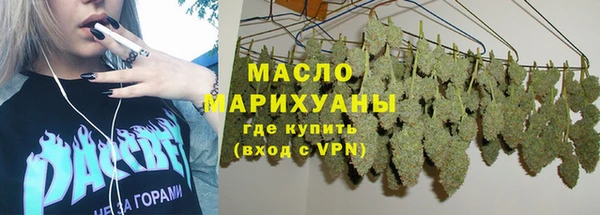 spice Инта