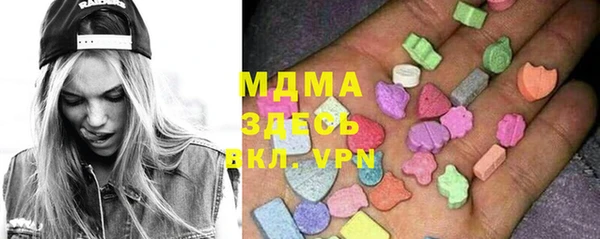 spice Инта