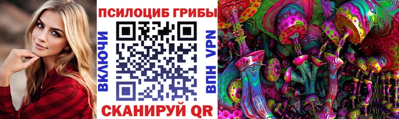 Купить Нижние Серги Галлюциногенные грибы Psilocybe